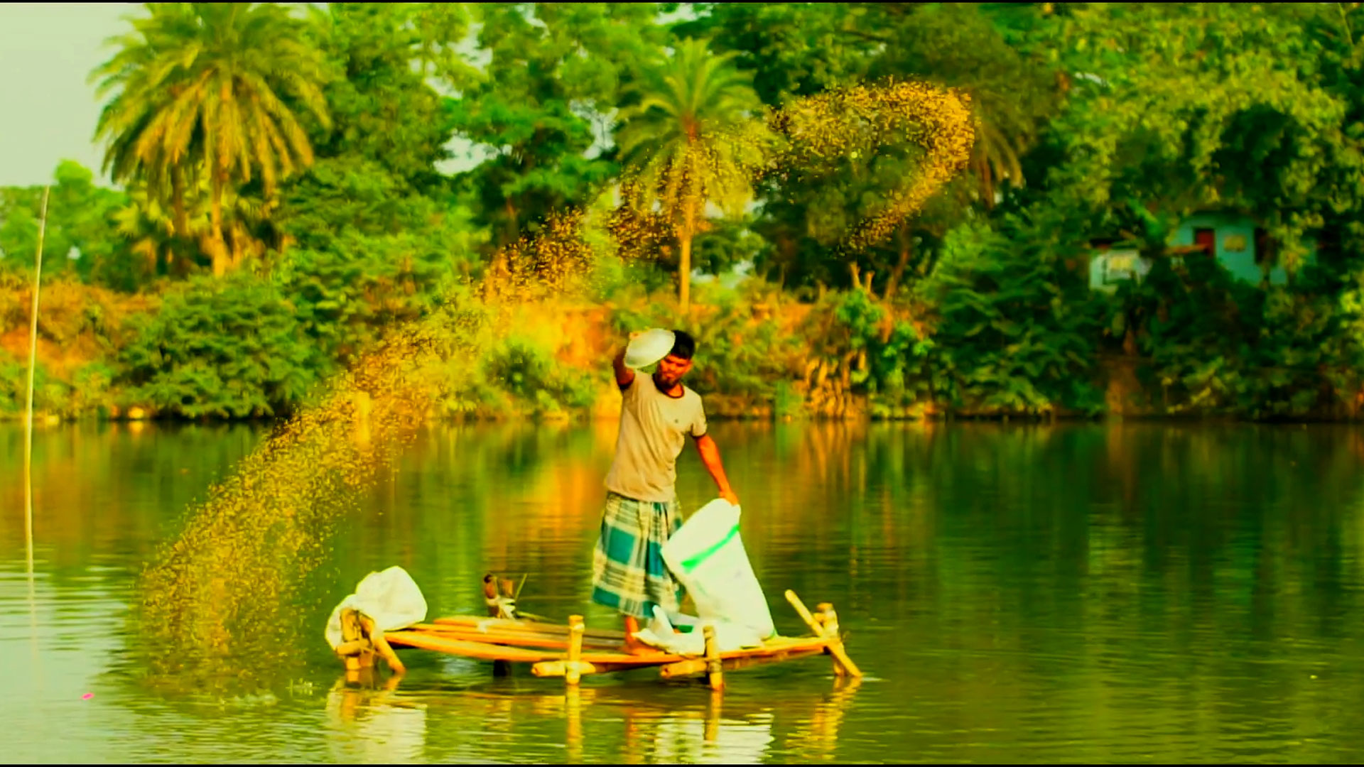 এ্যাংকর ফিড বাজারের সেরা ফিড