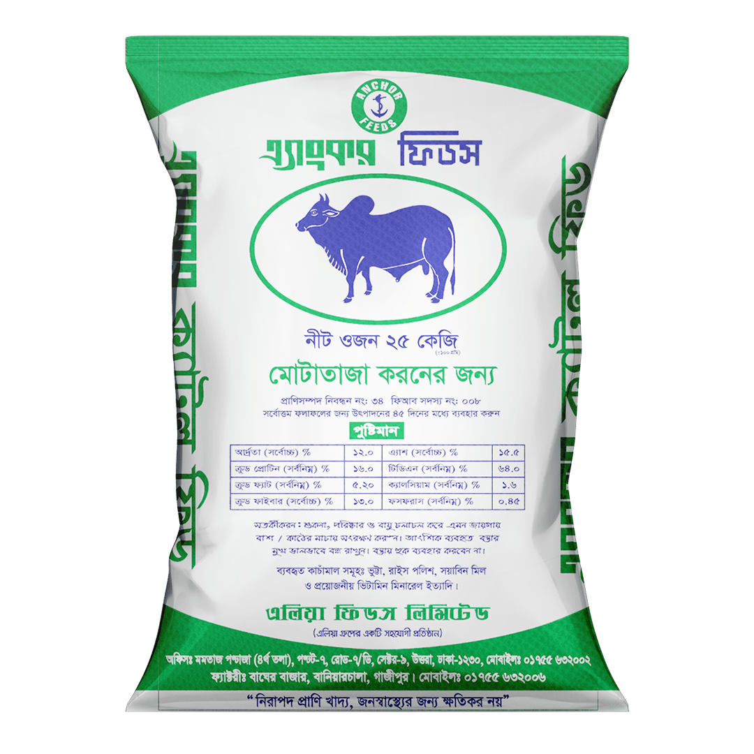 Beef Cattle Meat More